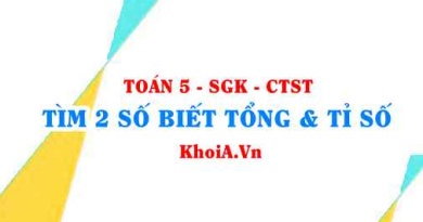 Cách tìm 2 số khi biết tổng và tỉ số Toán lớp 5 Chân trời sáng tạo